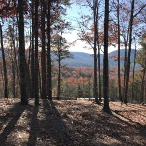 73604/ VolCon UTK Fall Conference 2024