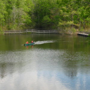 80556/ MidSouth Winter Conference 2025