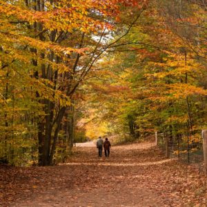 72925/ Samford Fall Retreat 2024