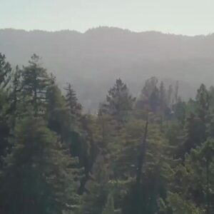 113855/ Stanford Fall Retreat 2025