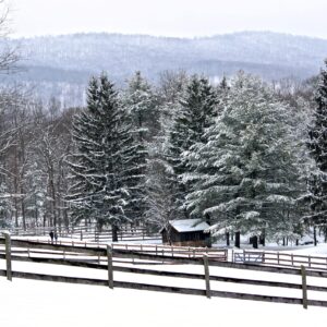 83676/ Mid- Atlantic Winter Conference 2025