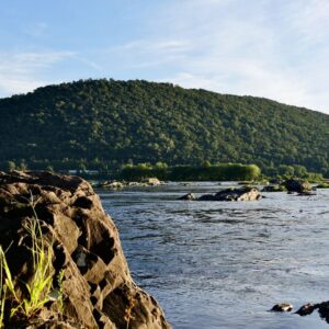 61946/ UMBC SuCo 2024