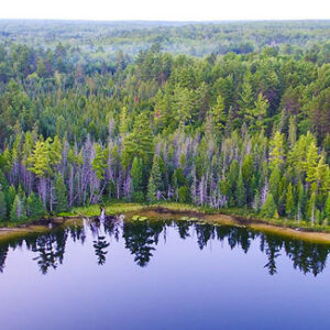 62409/ 2024 Upper Midwest Fall Conference