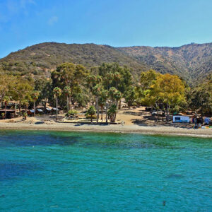 65572/ UCLA Catalina Conference 2024