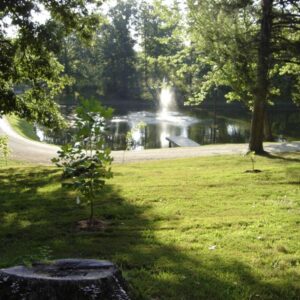 72619/ Missouri Fall Conference 2024