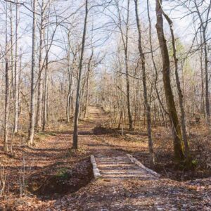 108257/ Kentucky Fall Cabin Weekend 2025