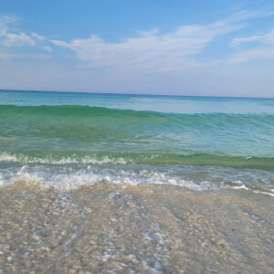 115814/ Southern Miss Fall Retreat 2025