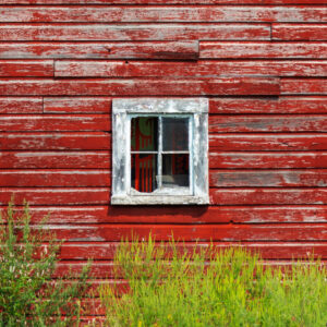 113910/ Illinois Barn Dance 2025