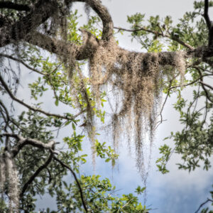 85295/ USF Savannah Leaders Retreat Dec2024