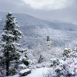 145549/ Wake Forest Winter Retreat 2027