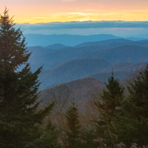 85799/ Wake Forest Winter Retreat 2025