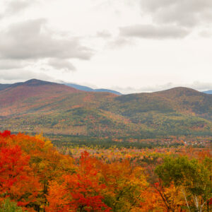 117383/ Northeast Fall Conference 2026