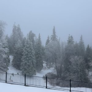 118267/ UCLA Winter Conference 2026